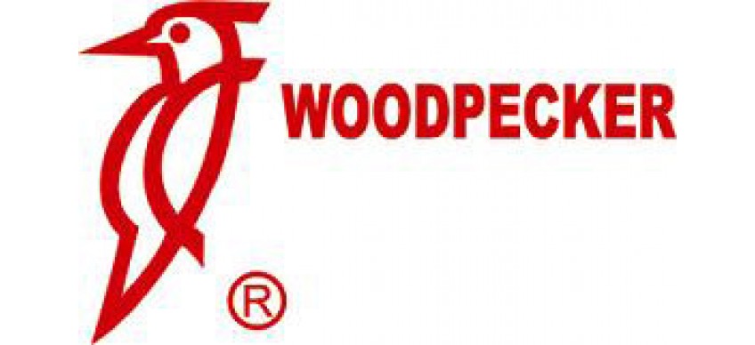 Woodpecker DTE (Китай)